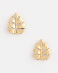 Palm Frond Stud Earrings Gold - Chico's