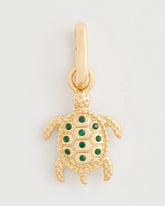 Turtle Charm Multi - Chico's